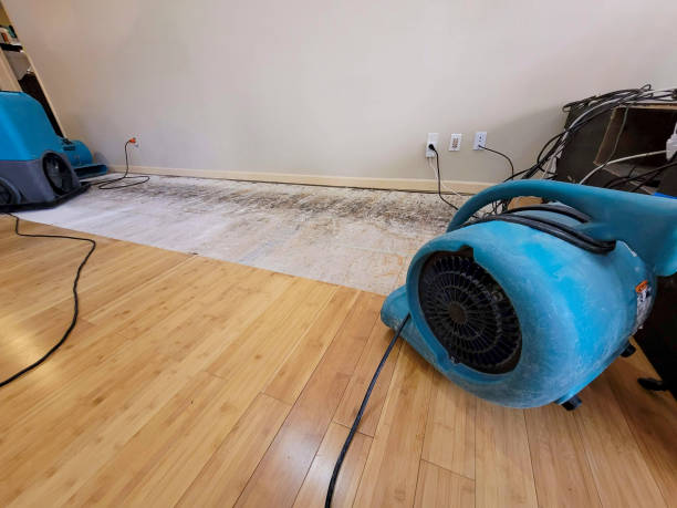 Professional Emergency Water Damage technician working in Jackson Center, OH
